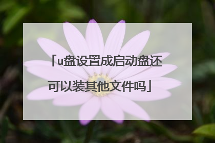 u盘设置成启动盘还可以装其他文件吗