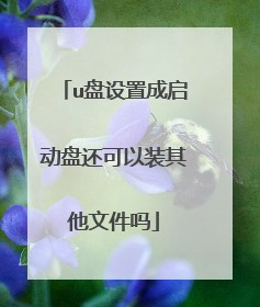 u盘设置成启动盘还可以装其他文件吗