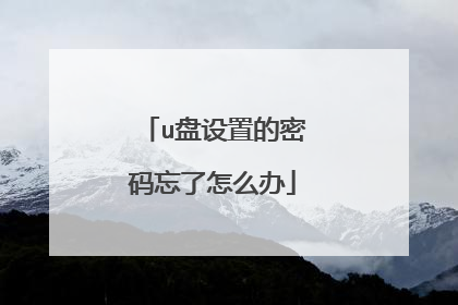 u盘设置的密码忘了怎么办