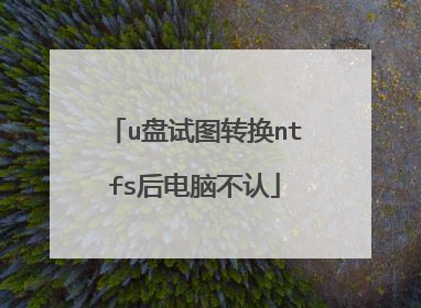 u盘试图转换ntfs后电脑不认
