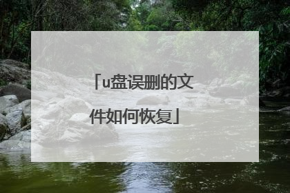 u盘误删的文件如何恢复