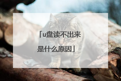 u盘读不出来是什么原因