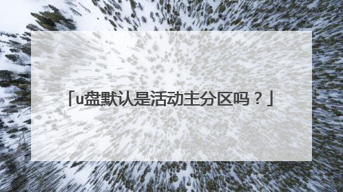 u盘默认是活动主分区吗?