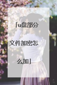 u盘部分文件加密怎么加