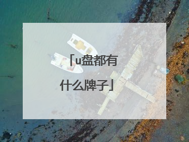 u盘都有什么牌子