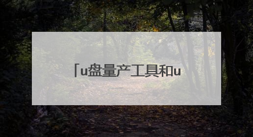 u盘量产工具和u盘通用pe软件什么区别?请教一下拜托了各位 谢谢