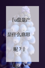u盘量产是什么意思呢？