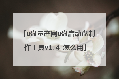u盘量产网u盘启动盘制作工具v1.4 怎么用