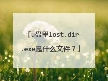 u盘里lost.dir.exe是什么文件?