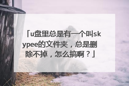 u盘里总是有一个叫skypee的文件夹，总是删除不掉，怎么搞啊？