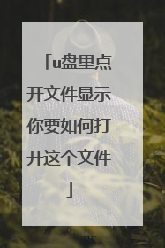 u盘里点开文件显示你要如何打开这个文件