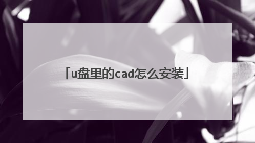 u盘里的cad怎么安装