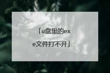 u盘里的exe文件打不开