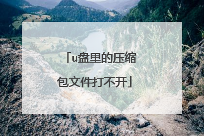 u盘里的压缩包文件打不开