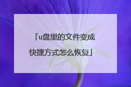 u盘里的文件变成快捷方式怎么恢复