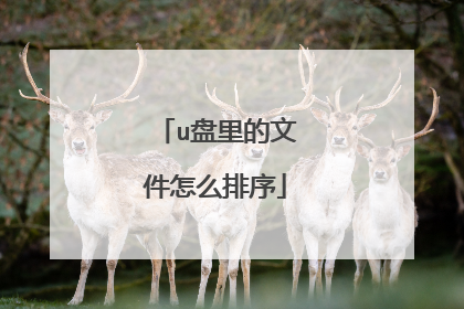 u盘里的文件怎么排序