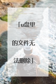u盘里的文件无法删除