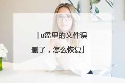 u盘里的文件误删了,怎么恢复