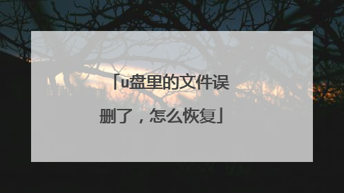 u盘里的文件误删了，怎么恢复