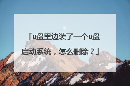 u盘里边装了一个u盘启动系统,怎么删除?