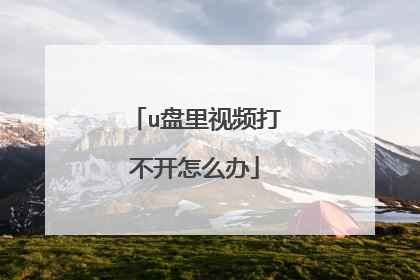 u盘里视频打不开怎么办