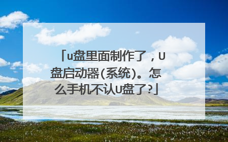 u盘里面制作了,U盘启动器(系统)。怎么手机不认U盘了?