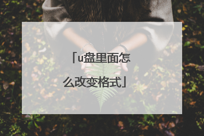 u盘里面怎么改变格式