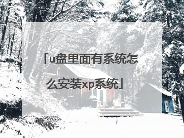 u盘里面有系统怎么安装xp系统