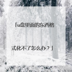 u盘里面的东西格式化不了怎么办?