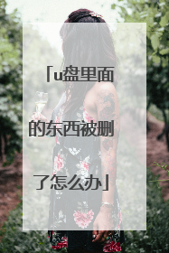 u盘里面的东西被删了怎么办