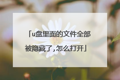u盘里面的文件全部被隐藏了,怎么打开