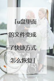 u盘里面的文件变成了快捷方式怎么恢复