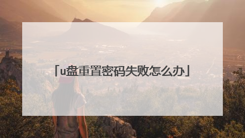 u盘重置密码失败怎么办