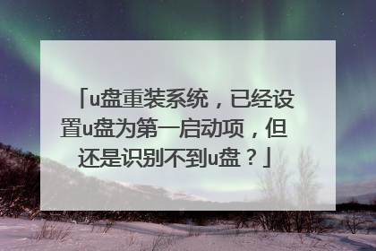 u盘重装系统,已经设置u盘为第一启动项,但还是识别不到u盘?