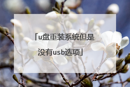 u盘重装系统但是没有usb选项