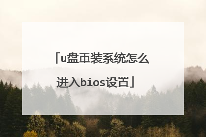 u盘重装系统怎么进入bios设置