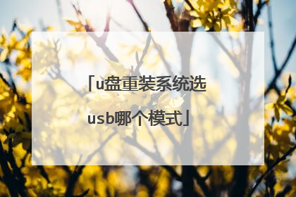 u盘重装系统选usb哪个模式