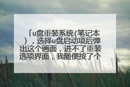 u盘重装系统(笔记本），选择u盘启动项后弹出这个画面，进不了重装选项界面，我随便按了个键就启动系统