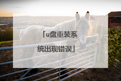 u盘重装系统出现错误