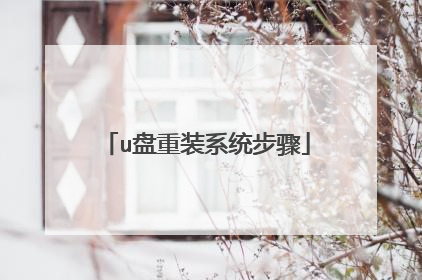 u盘重装系统步骤