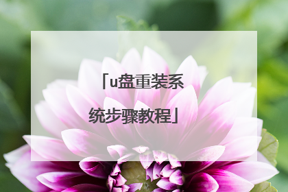 u盘重装系统步骤教程