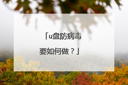 u盘防病毒要如何做?