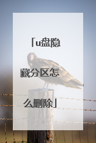 u盘隐藏分区怎么删除