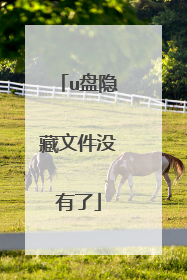u盘隐藏文件没有了
