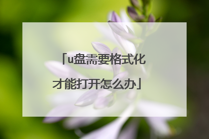 u盘需要格式化才能打开怎么办