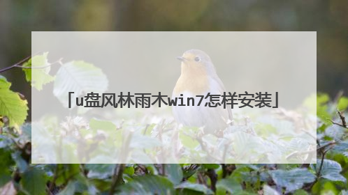 u盘风林雨木win7怎样安装
