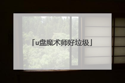 u盘魔术师好垃圾