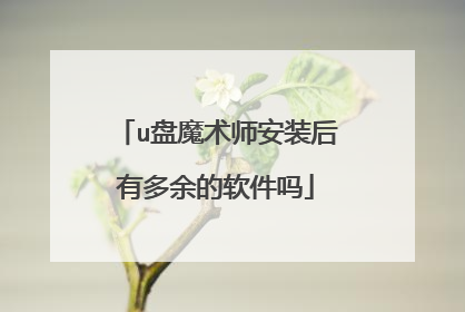u盘魔术师安装后有多余的软件吗