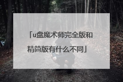 u盘魔术师完全版和精简版有什么不同
