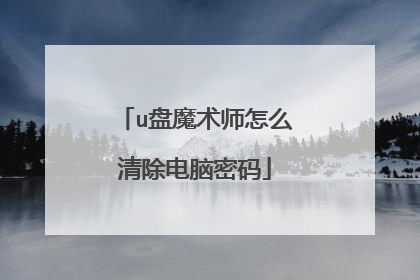 u盘魔术师怎么清除电脑密码